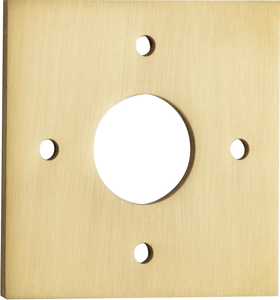 Adaptor Plate (Pair) Rose Square Brushed Gold PVD H60xW60xP2mm ID22mm CTC41.5mm in Brushed Gold PVD