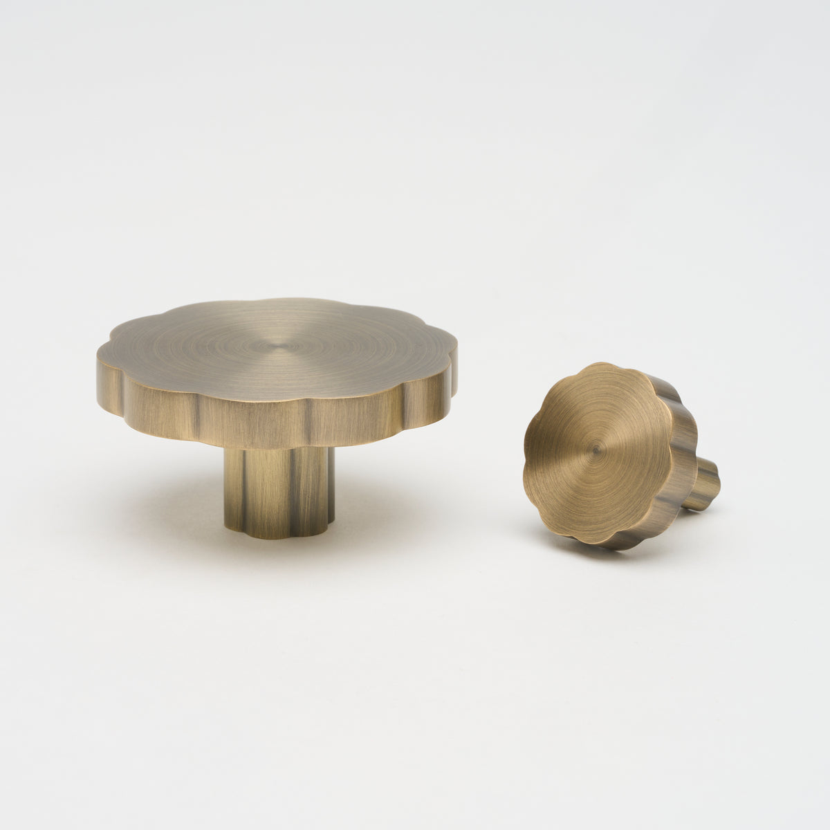 Lo & Co Tropez Knob cabinet hardware in brushed brass finish, featuring a sleek round design for modern furniture.