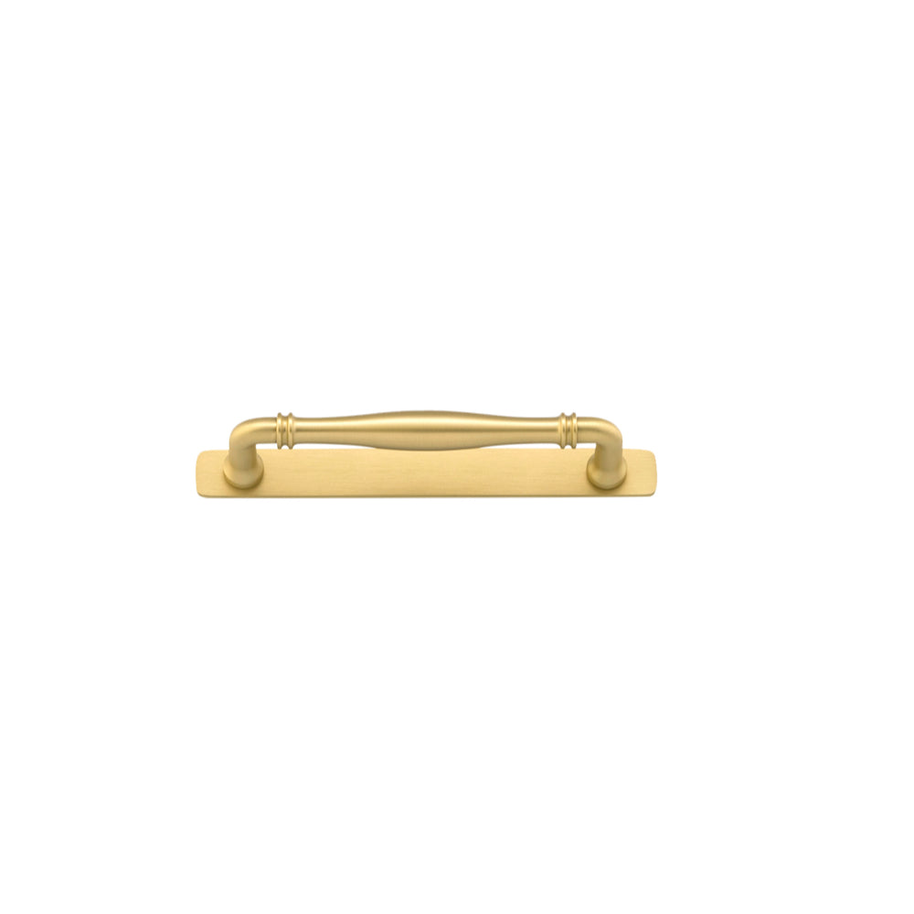 Cabinet Pull Sarlat Brushed Gold PVD L178xP50mm BD18mm CTC160mm With Backplate W205xH24mm T3mm in Brushed Gold PVD