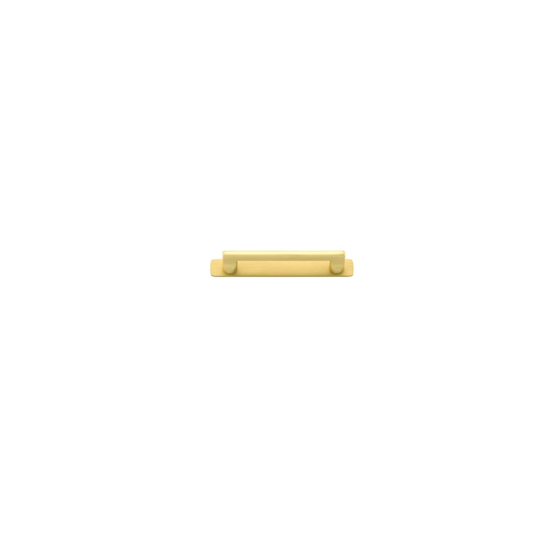 Cabinet Pull Baltimore Brushed Gold PVD With Backplate L173xW24xP39mm CTC128mm in Brushed Gold PVD