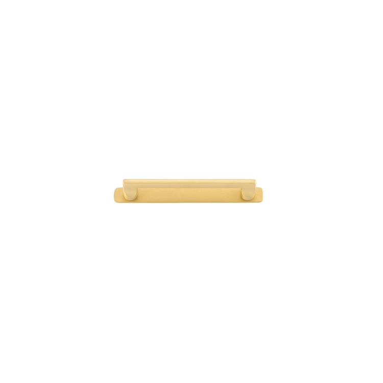 Cabinet Pull Baltimore Brushed Gold PVD With Backplate L205xW24xP39mm CTC160mm in Brushed Gold PVD