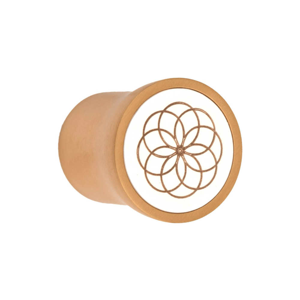 NOUR EV25 cabinet knob PVD satin gold in Satin Gold PVD