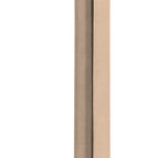 RIVIO GL500 PS pull handle with bolt-through fixing PVD light bronze in Light Bronze PVD