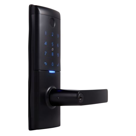 GAINS MODE SMART ENT LCK BLACK in Black