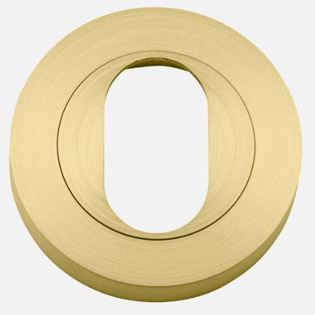 Escutcheon Oval Round Pair Brushed Gold PVD D52xP10mm in Satin Brass PVD