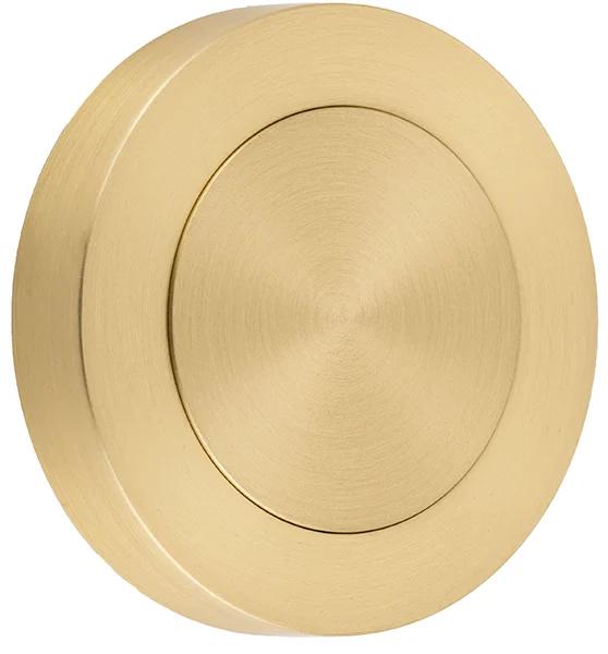 Blank Rose Round Brushed Gold PVD D52xP10mm in Brushed Gold PVD