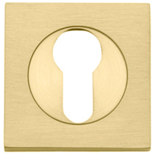Escutcheon Euro Concealed Fix Square Pair Brushed Gold PVD H52xW52xP10mm in Brushed Gold PVD