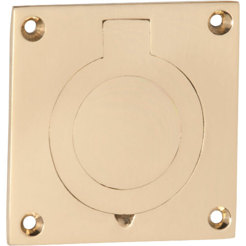 Tradco Cellar Door Pull showing a brushed metal finish and classic design for easy opening and stylish cellar access.