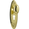 Door Knob Fitzroy Euro Pair Polished Brass H205xW63xP60mm in Polished Brass