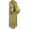 Door Knob Nouveau Latch Pair Polished Brass H188xW58xP60mm in Polished Brass