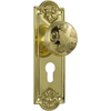 Door Knob Nouveau Euro Pair Polished Brass H188xW58xP60mm in Polished Brass
