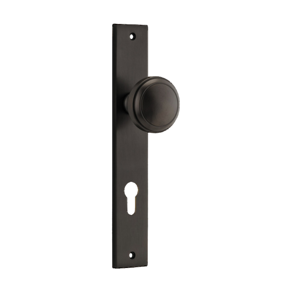 Door Knob Paddington Rectangular Euro Signature Brass CTC85mm H240xW38xP68mm in Signature Brass