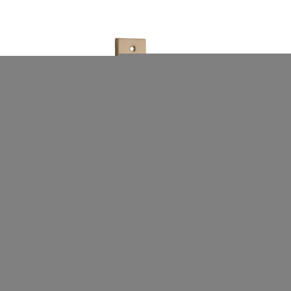 Door Knob Paddington Rectangular Privacy Brushed Brass CTC85mm H240xW38xP68mm in Brushed Brass