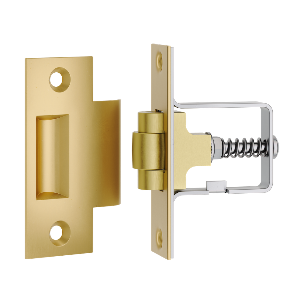 Tube Latch Roller with Face Plate & Striker Brushed Brass in Brushed Brass