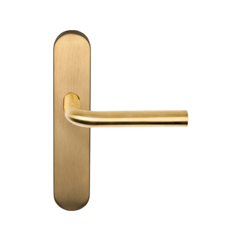 BASICS LB3-19P13SFC sprung lever handle on blank plate PVD satin gold in Satin Gold PVD