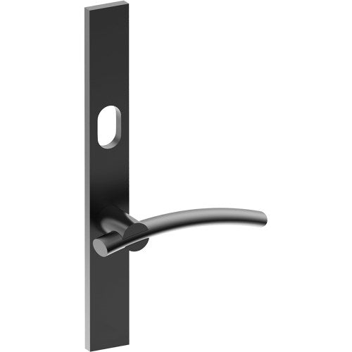 LAGUNA Door Handle on B02 EXTERNAL Australian Standard Backplate with Cylinder Hole, Concealed Fixing (Half Set) 64mm CTC in Black Teflon
