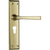 Door Lever Menton Euro Pair Polished Brass H225xW50xP75mm in Polished Brass