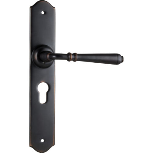 Pair of Tradco Reims lever door handles on long backplates, featuring a sleek, modern design for stylish interior doors.
