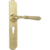 Door Lever Reims Euro Pair Polished Brass H240xW40xP70mm in Polished Brass