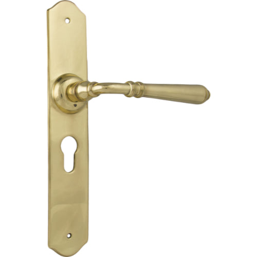 Pair of Tradco Reims Lever handles on long backplates, featuring a modern design for interior doors.
