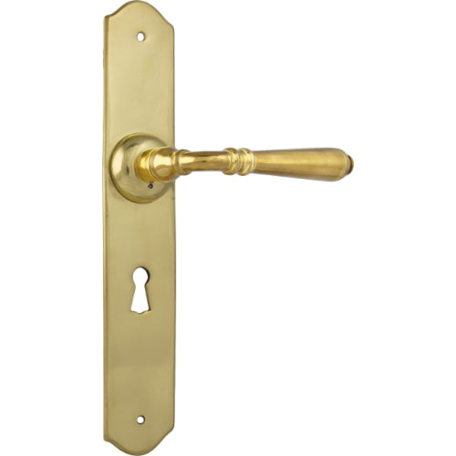 Pair of Tradco Reims Lever handles on long backplates, showcasing elegant door hardware with a polished finish.