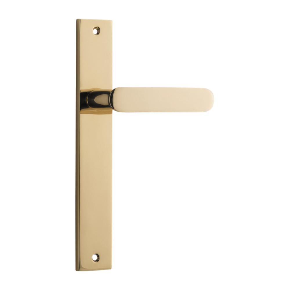 Door Lever Bronte on Long Backplate Polished Brass H240xW38xP56mm in Polished Brass