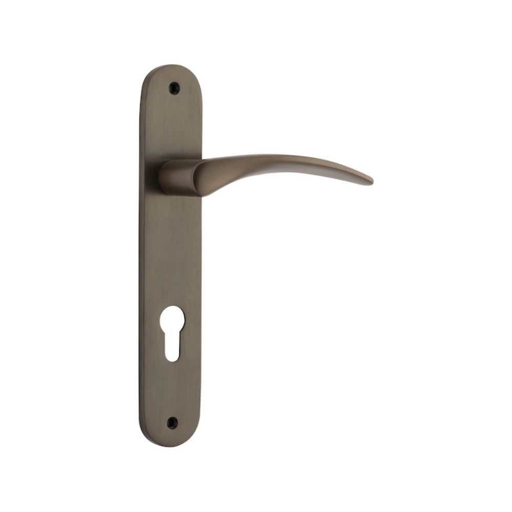 Door Lever Oxford Oval Euro Signature Brass CTC85mm H240xW40xP60mm in Signature Brass