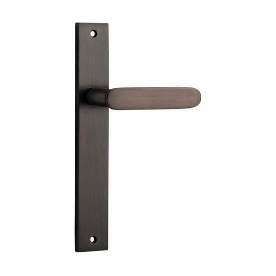 Door Lever Bronte on Long Backplate Signature Brass H240xW38xP56mm in Signature Brass