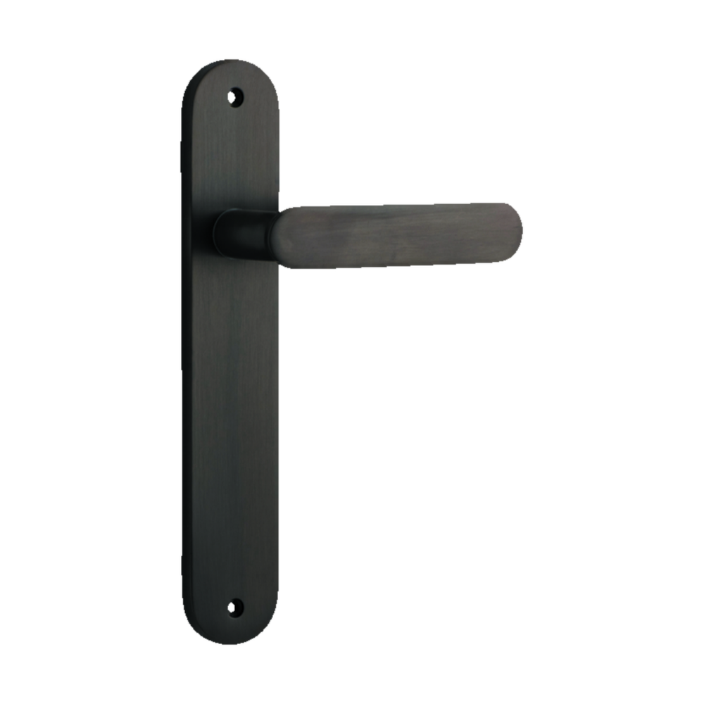 Door Lever Bronte on Long Backplate Signature Brass H240xW40xP56mm in Signature Brass