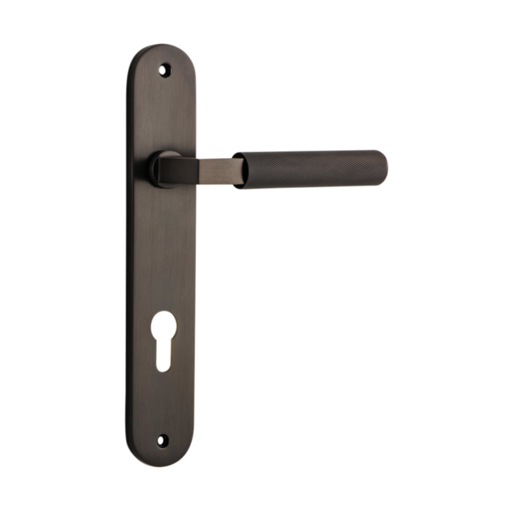 Pair of Iver Brunswick lever handles on oval backplates, architectural hardware in a sleek, modern design for doors.