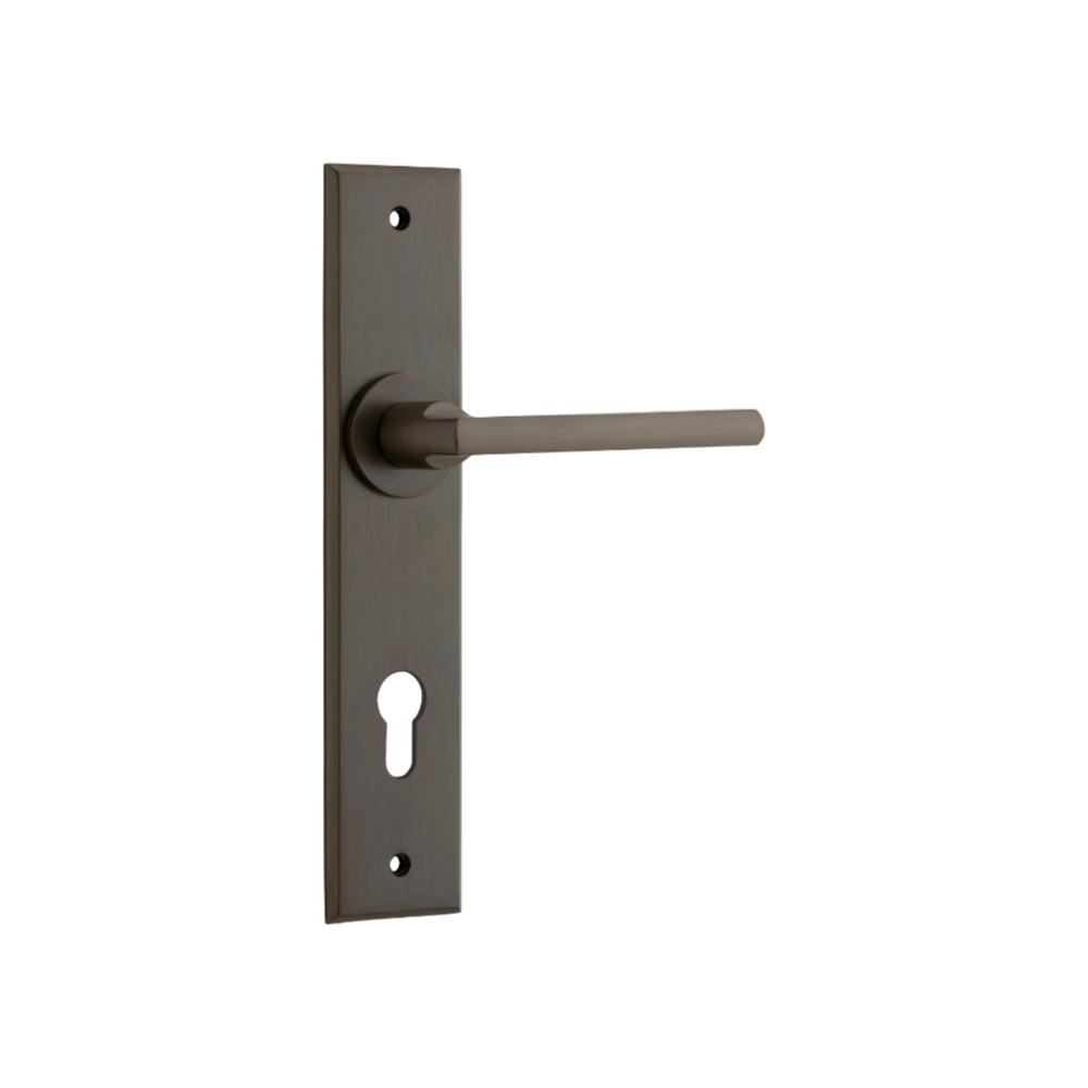 Baltimore Chamfered Euro Signature Brass H240xW50xP55mm in Signature Brass