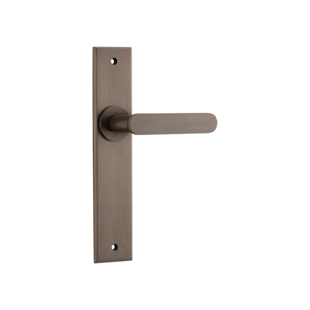 Door Lever Bronte on Long Backplate Signature Brass H240xW50xP55mm in Signature Brass