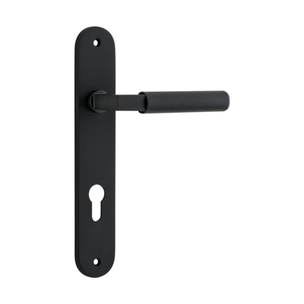 Pair of Iver Brunswick lever handles on oval backplates, architectural hardware for doors, in a polished metal finish.