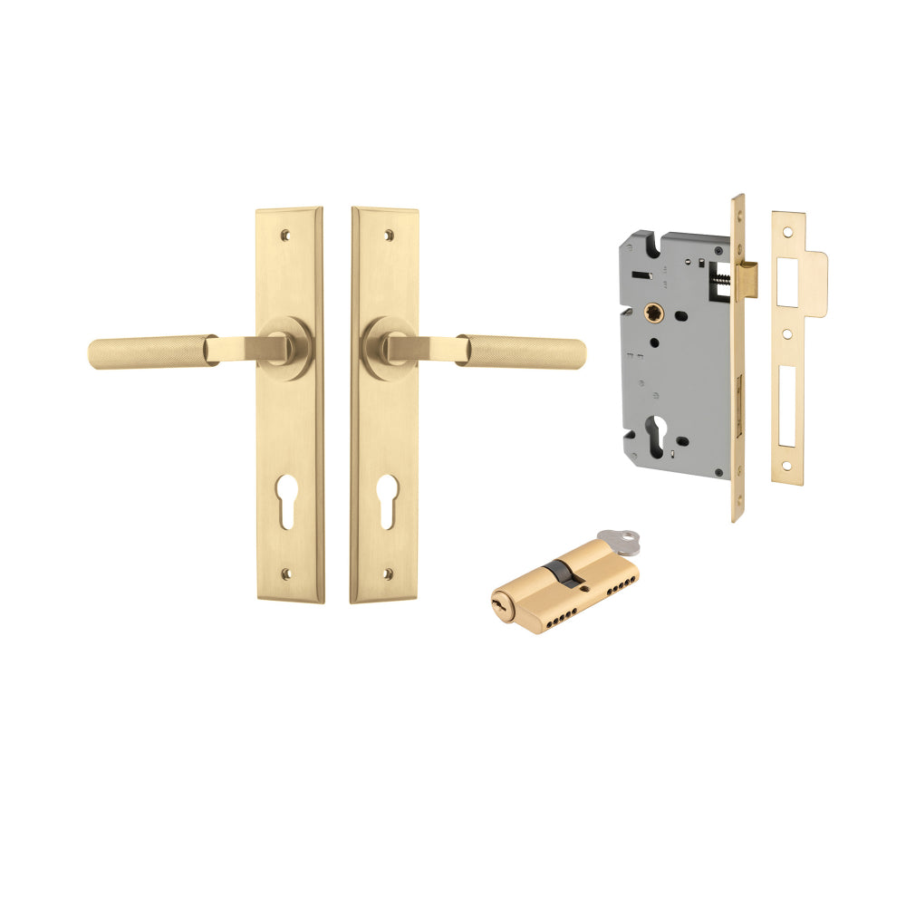 Pair of Iver Brunswick lever door handles on chamfered backplates, showcasing architectural hardware in a sleek, modern design.