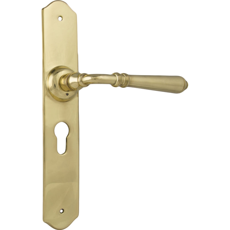 Door Lever Reims Euro Pair Unlacquered Polished Brass H240xW40xP70mm in Unlacquered Polished Brass