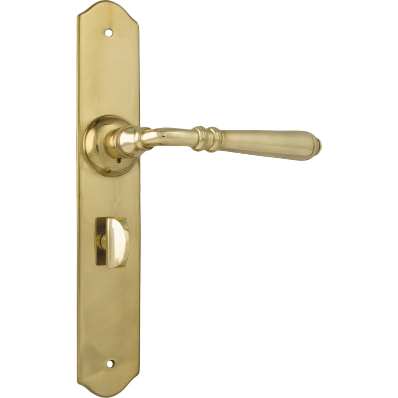 Door Lever Reims Privacy Pair Unlacquered Polished Brass H240xW40xP70mm in Unlacquered Polished Brass