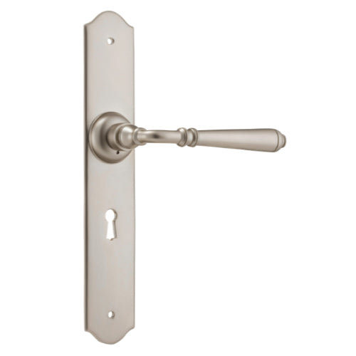 Pair of Tradco Reims Lever door handles on long backplates, showing brushed nickel finish and modern design.