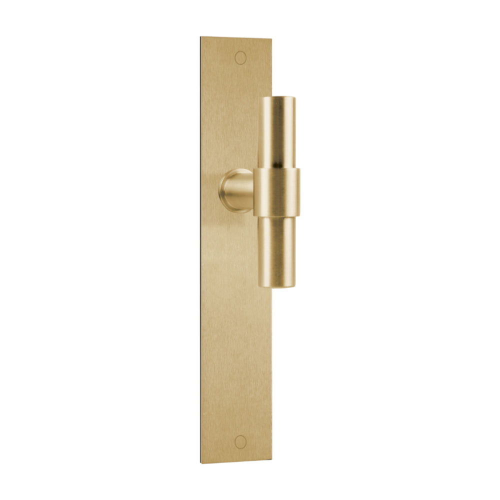 Pair of Formani ONE T-Lever door handles with 20mm diameter on rectangular backplates, polished chrome finish.