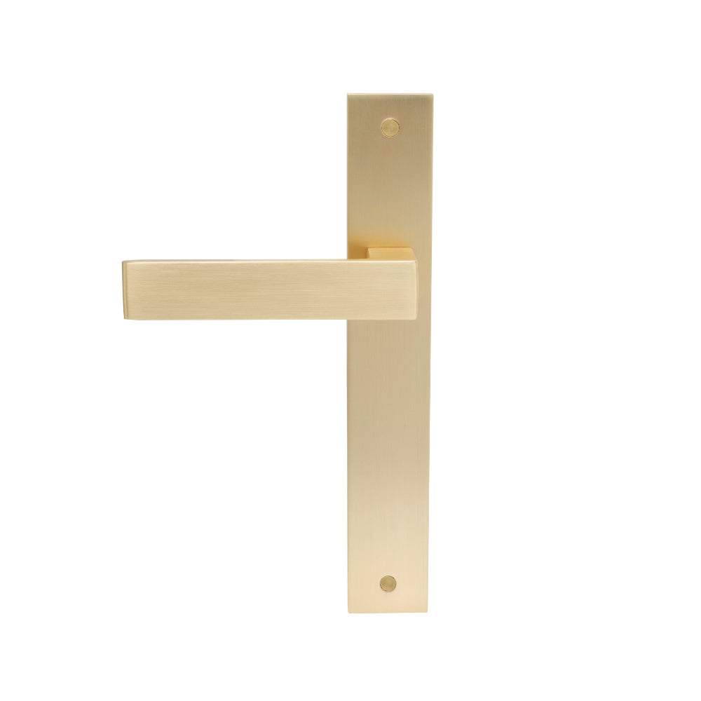 Galaxy - Pegasus Elite Longplate Dummy - RH in Matt Satin Brass