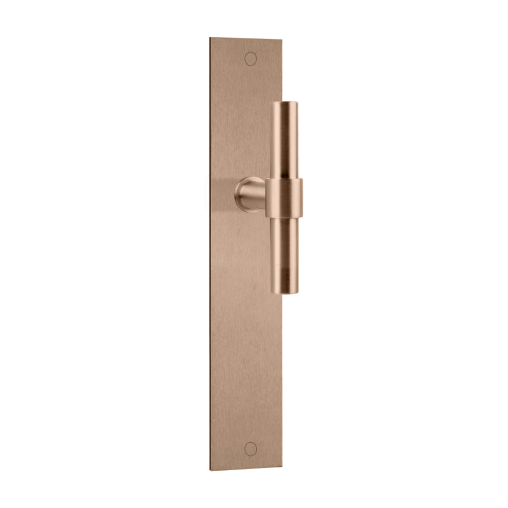 Pair of Formani ONE T-Lever door handles with 15mm diameter on rectangular backplates, showcasing sleek modern design.