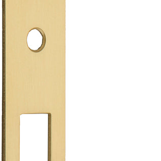 Extended Striker Brushed Gold PVD CTC85mm H198xW63mm in Brushed Gold PVD