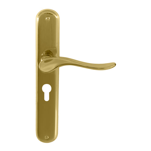 Haven Oval Backplate E48 Keyhole in Polished Brass Unlacquered