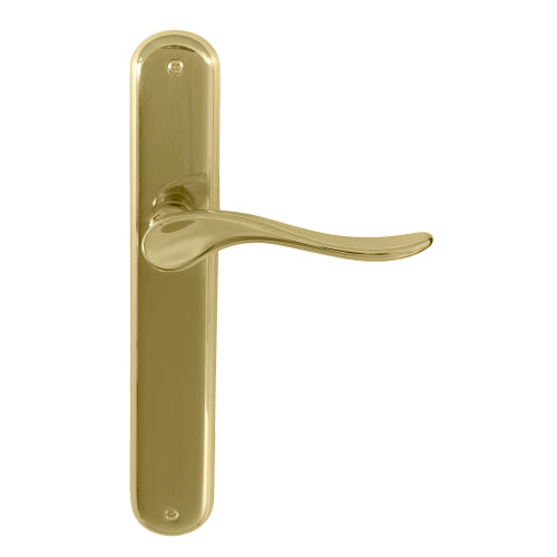 Haven Oval Backplate in Polished Brass