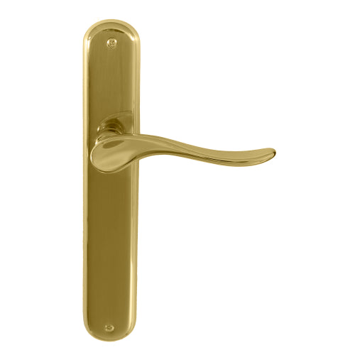 Haven Oval Backplate in Polished Brass Unlacquered