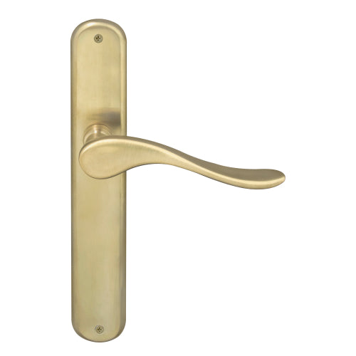 Haven Oval Backplate in Satin Brass Unlaquered