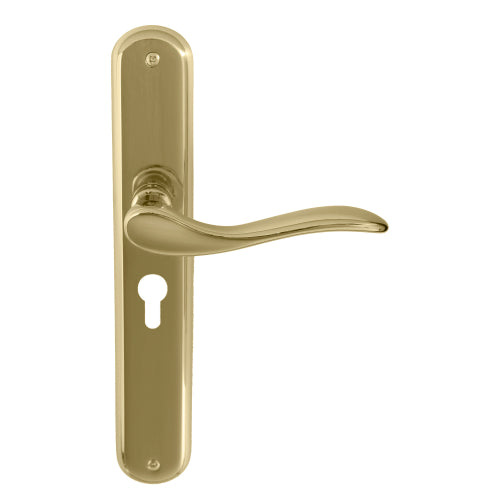 Hermitage Oval Backplate E48 Keyhole in Polished Brass