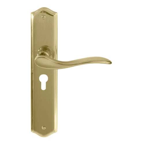 Hermitage Traditional Backplate E48 Keyhole in Polished Brass