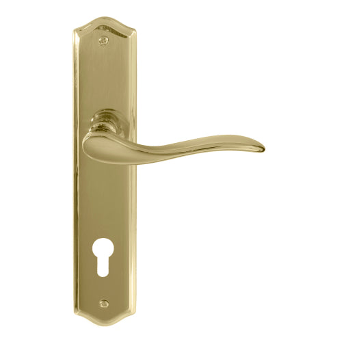 Hermitage Traditional Backplate E85 Keyhole in Polished Brass