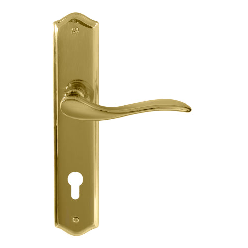 Hermitage Traditional Backplate E85 Keyhole in Polished Brass Unlacquered
