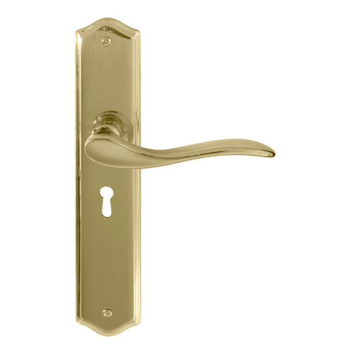 Hermitage Traditional Backplate Std Keyhole in Polished Brass